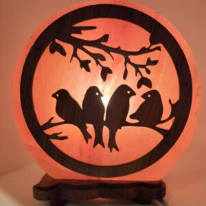 sel d'Himalaya lampe oiseaux