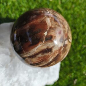 bois fossilise sphère