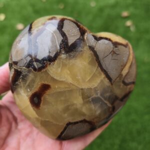 septaria sauvage coeur