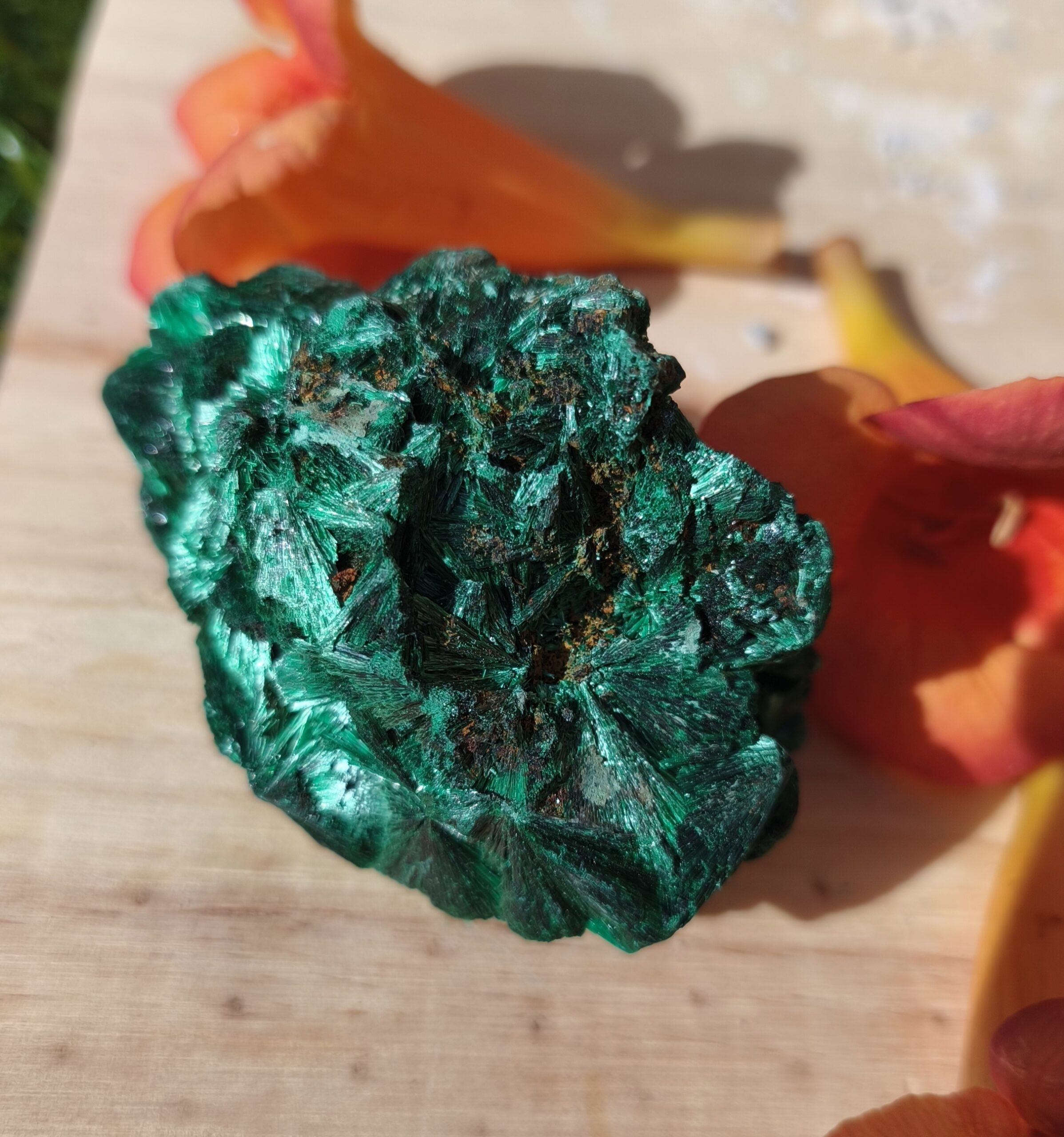 malachite fibreuse
