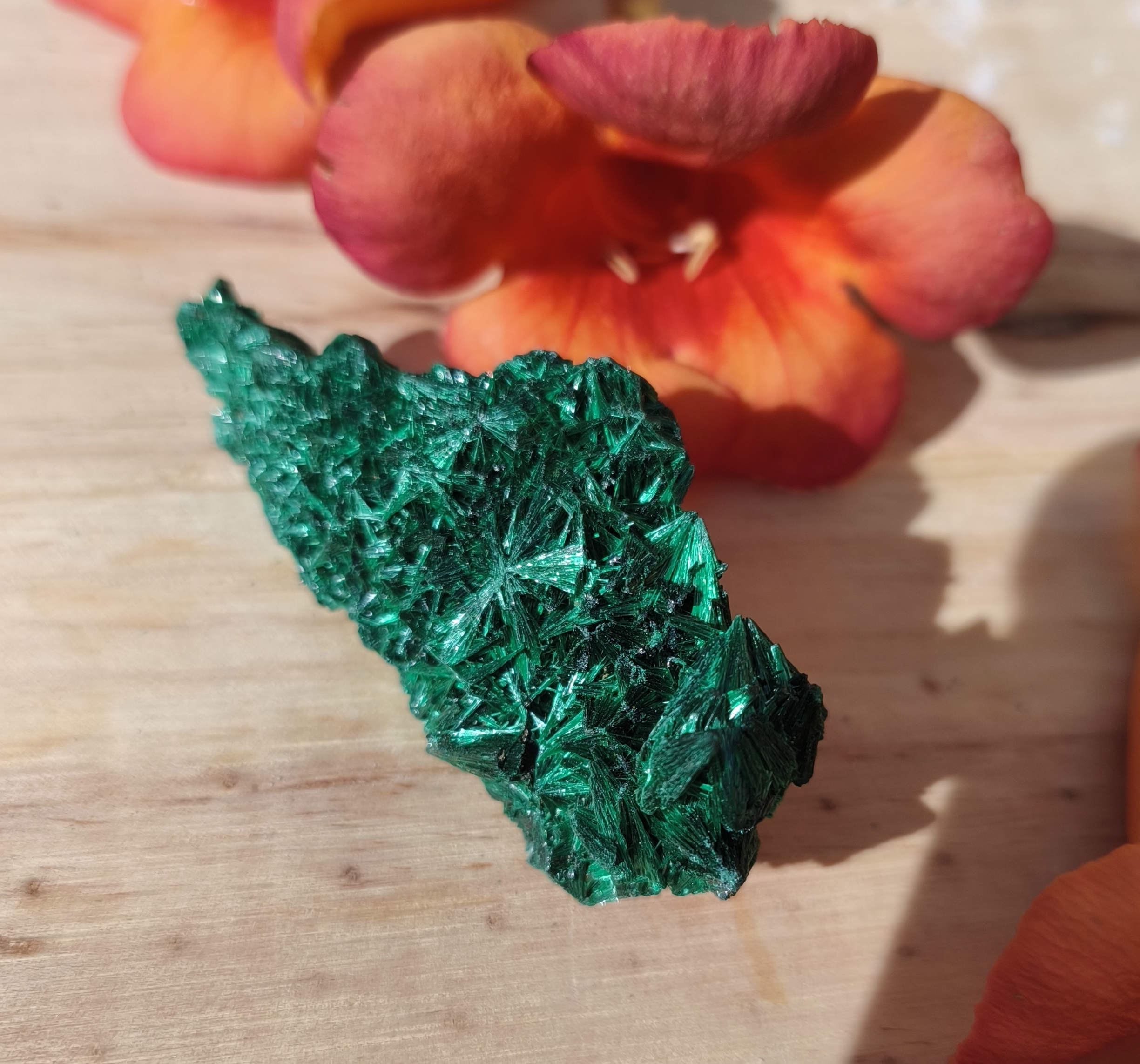 malachite fibreuse