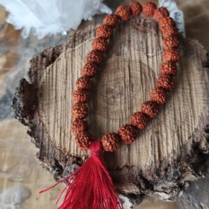 bracelet graine de rudraksha