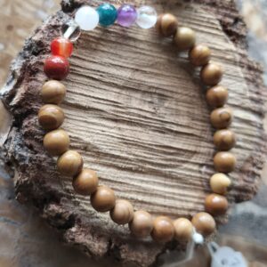 bois fossilisé bracelet 7 chakras