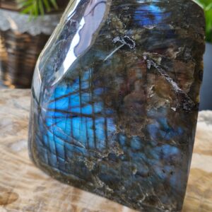 labradorite polie / brute