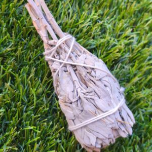 sauge blanche torche