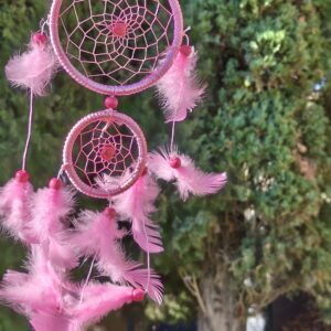 attrape reve rose