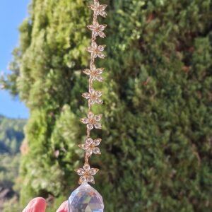 attrape soleil fleurs