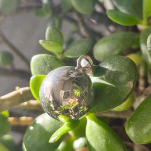 bola de grossesse