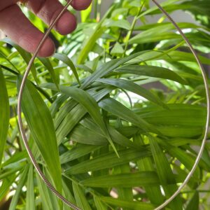 tour de cou flexible en argent