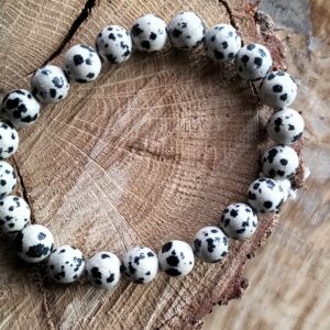 Jaspe dalmatien