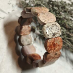 Jaspe fossilisé bracelet