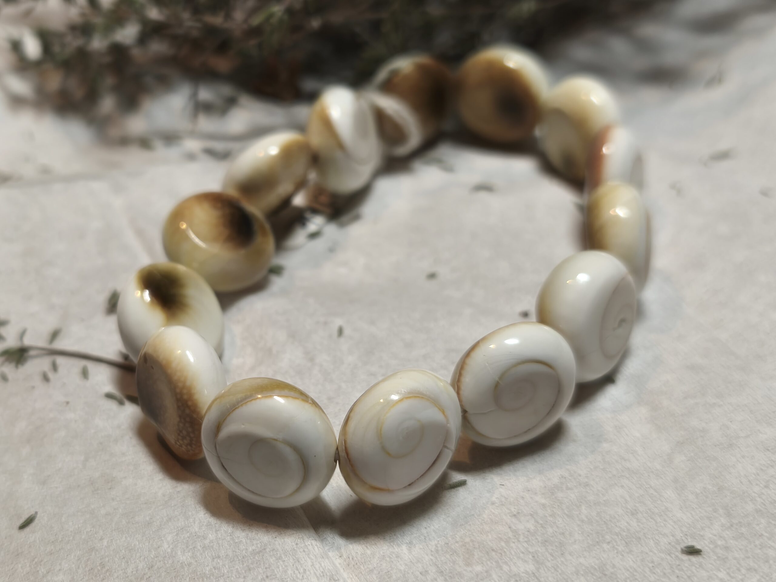 Oeil de sainte lucie bracelet – Image 2