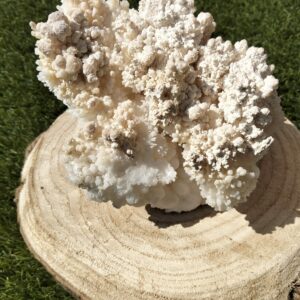 Aragonite brute
