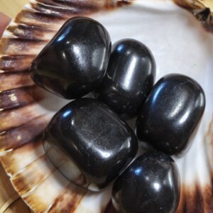 Shungite Pierres Roulées