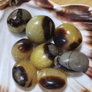 Septaria Pierres roulées