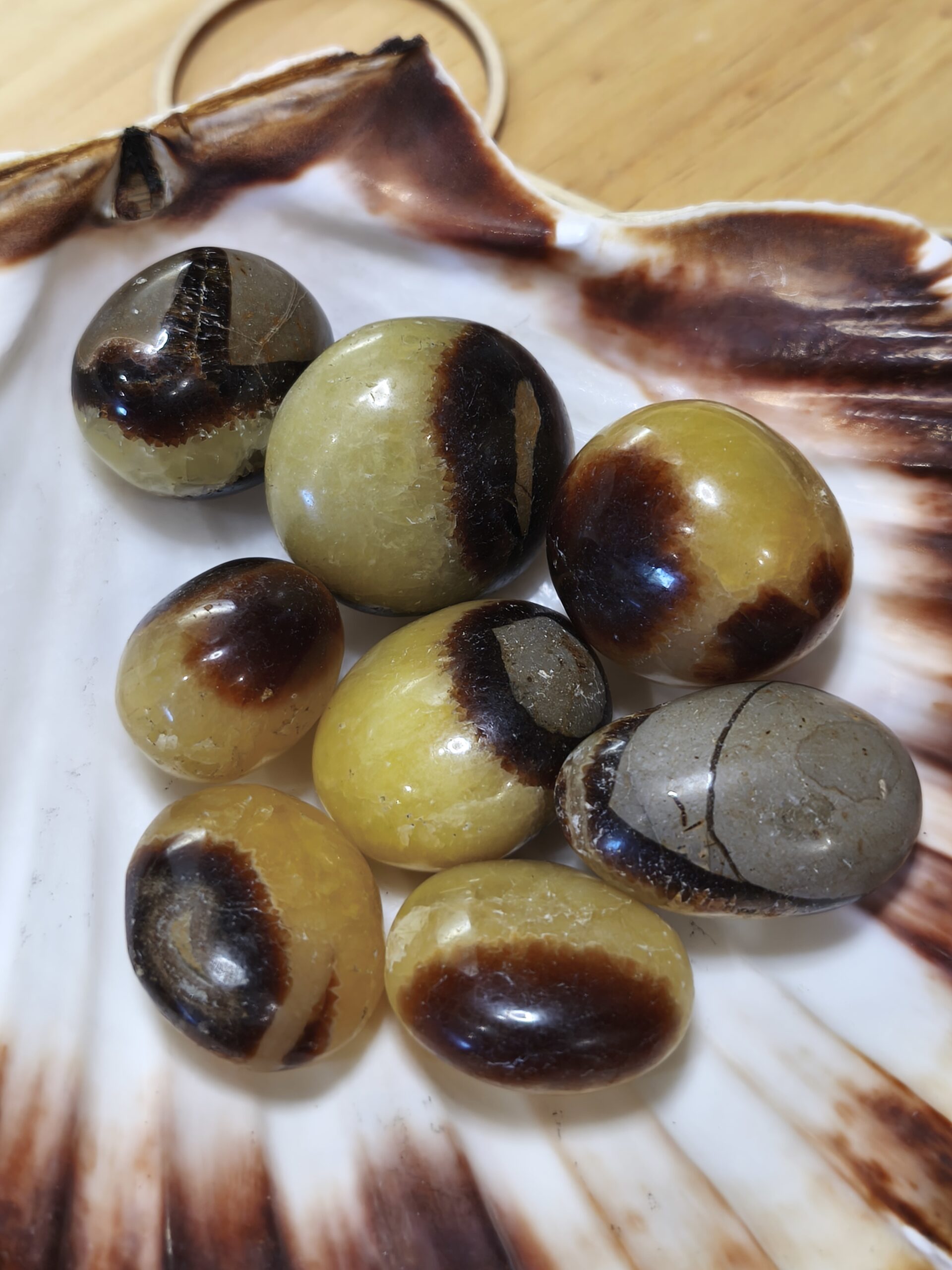 Septaria Pierres roulées